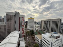 Blk 271 Queen Street (Central Area), HDB 3 Rooms #502193811